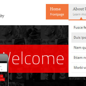 WildCommunity – BuddyPress Community Theme
